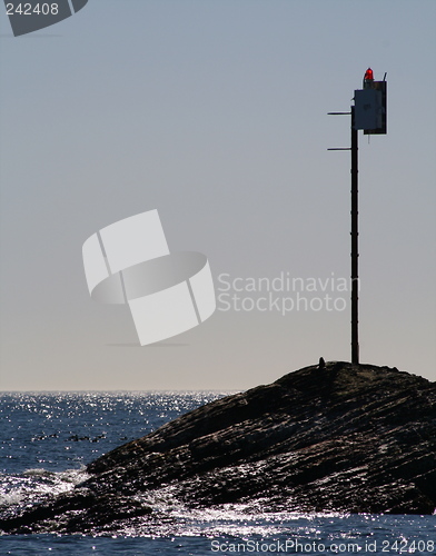 Image of Sealight