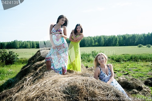 Image of Young beautiful women on hay