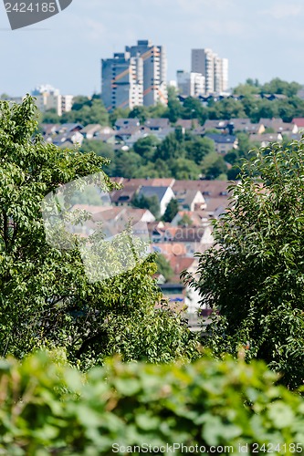 Image of Vineyards in Stuttgart