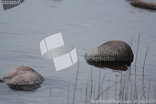 Image of Few Rocks and grass