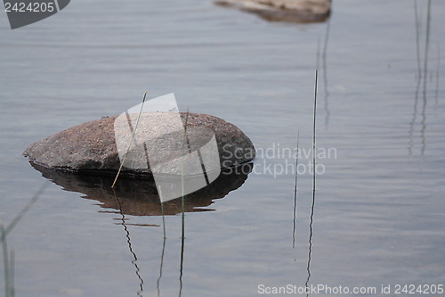 Image of Rock and grasses