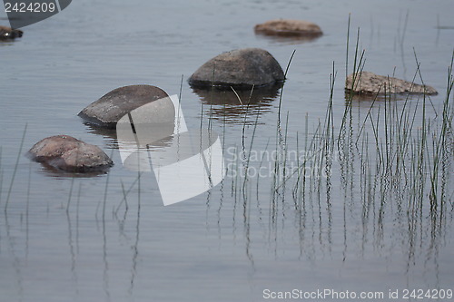 Image of Rocks and grass