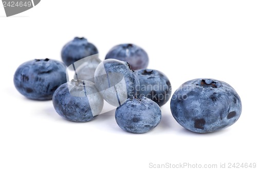 Image of Few bilberries