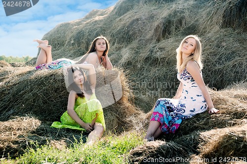 Image of Young beautiful women on hay