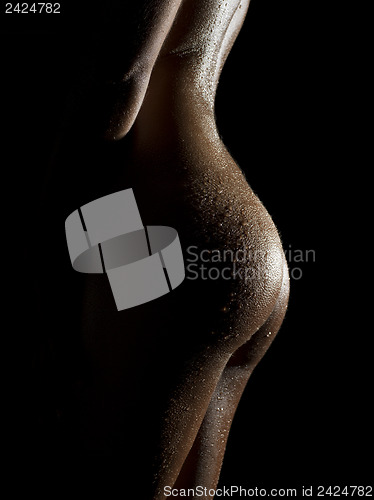 Image of beautiful nude body