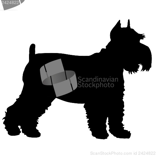 Image of Schnauzer Silhouette