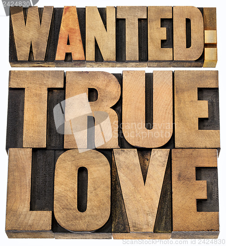 Image of wanted true love in wood type