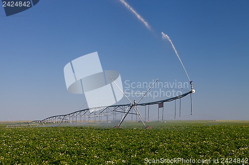 Image of Modern Irrigation Pivot