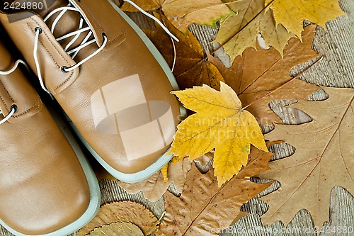 Image of pair of biege leather shoes and yellow leaves