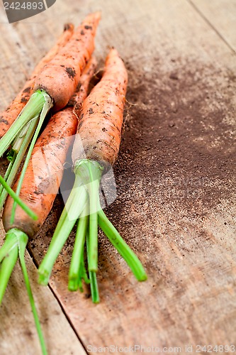 Image of fresh carrots 