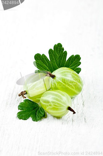 Image of gooseberries with leaves