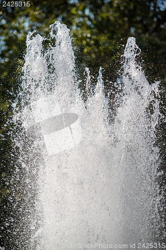 Image of Fountain in summer