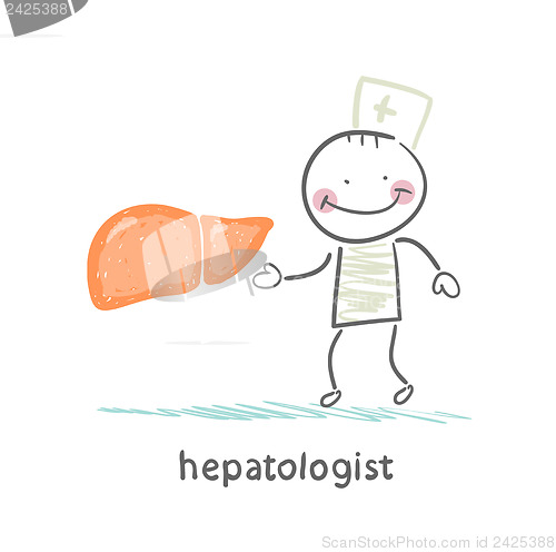Image of hepatologist  with the liver