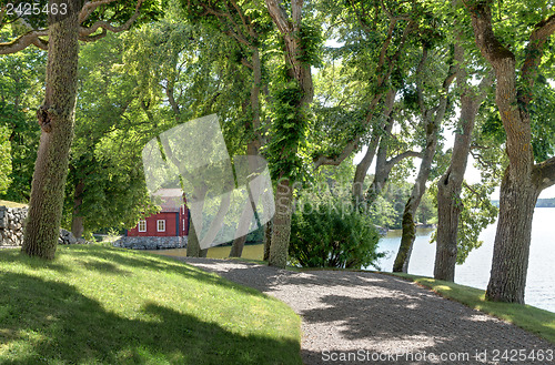 Image of Alley with old trees leading to a red house