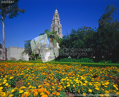 Image of California Tower