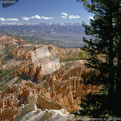 Image of Bryce Canyon