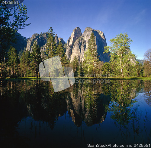 Image of Yosemite National Park