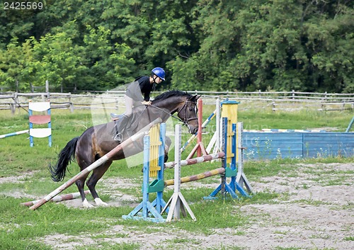 Image of Boy and horse