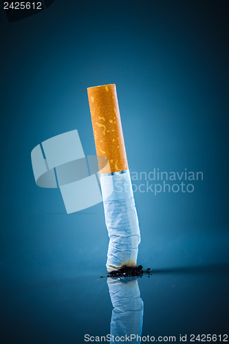 Image of Cigarette butt - No smoking.