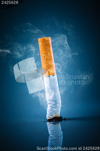 Image of Cigarette butt - No smoking.