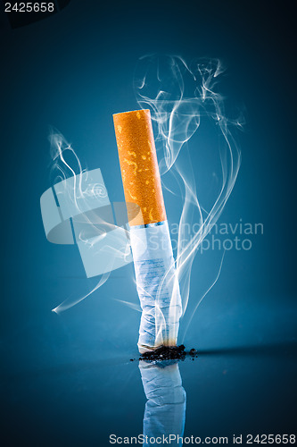 Image of Cigarette butt - No smoking.