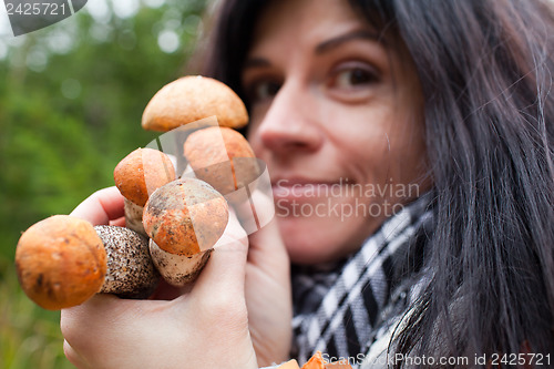 Image of Mushrooms in hands