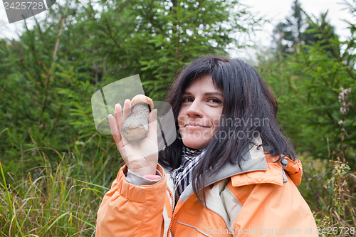 Image of Mushroom in hand