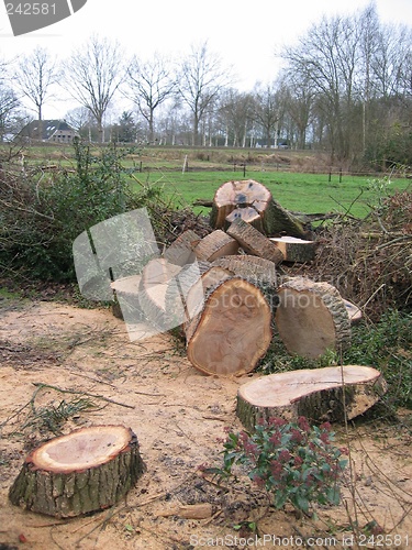 Image of Wood sawing