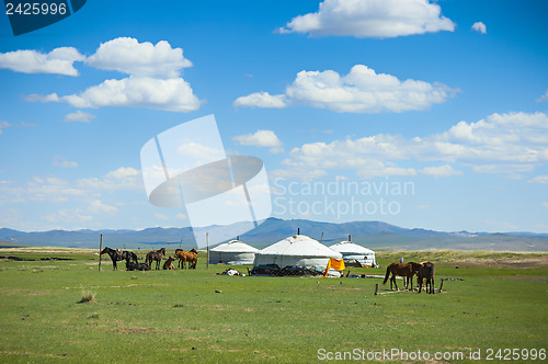 Image of Yurts and horses in Mongolia