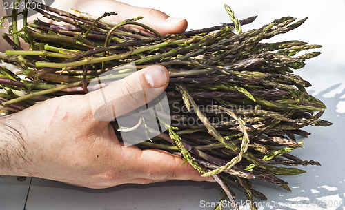 Image of Fresh asparagus in his hands