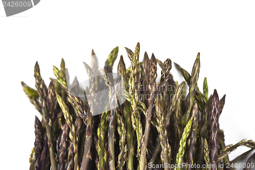 Image of Fresh asparagus isolated