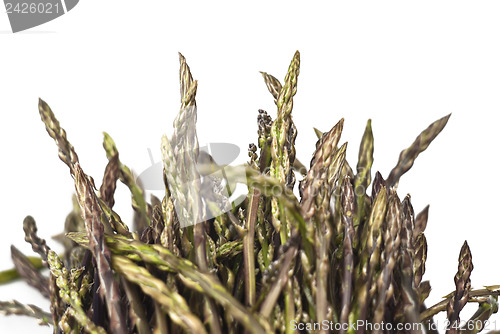 Image of Fresh asparagus isolated