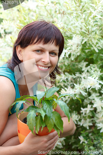 Image of happy smiling middle age woman gardening