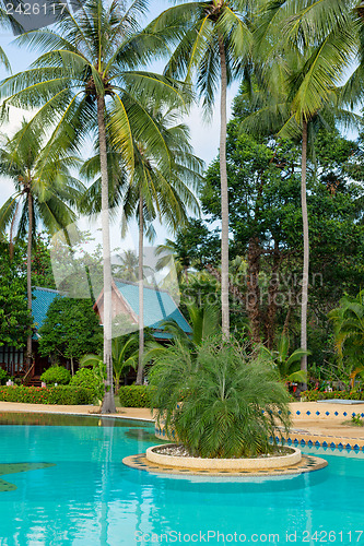 Image of tropical swimming pool