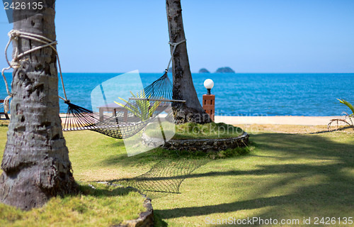 Image of Hammock strung between two palms on tropical island.