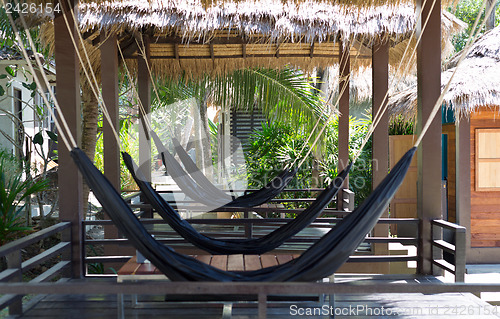 Image of hammock