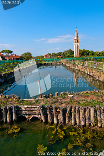 Image of Venice Burano Mazorbo vineyard