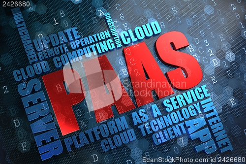 Image of PAAS.  Wordcloud Concept.