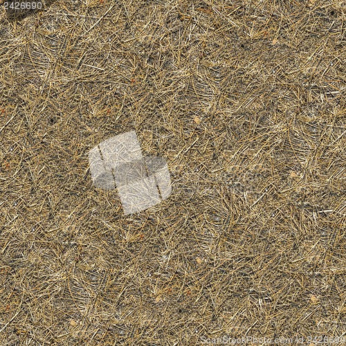 Image of Seamless Texture of  Withered Grass.