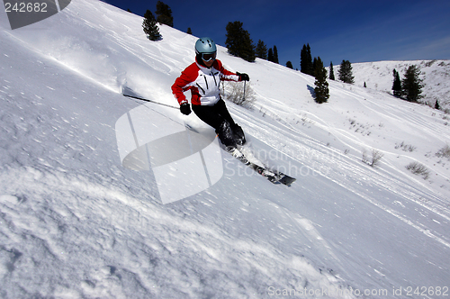 Image of Skiing