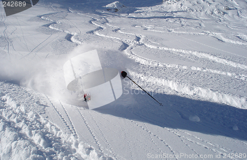 Image of Powder