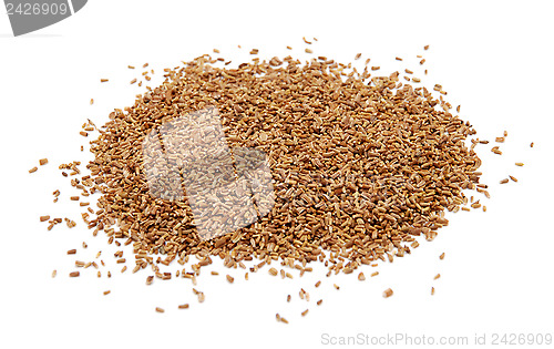Image of Corn marigold seeds