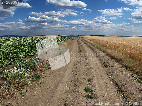 Image of Footpath to the sky