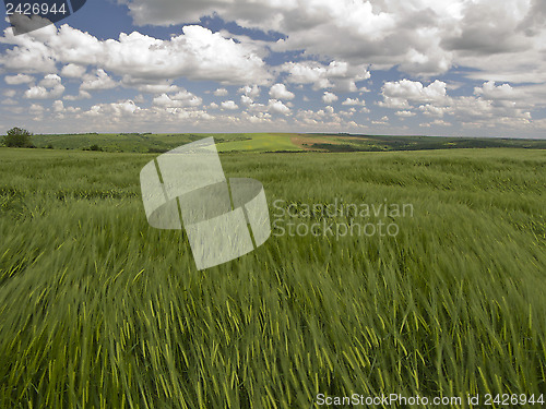 Image of Green, blue and windy