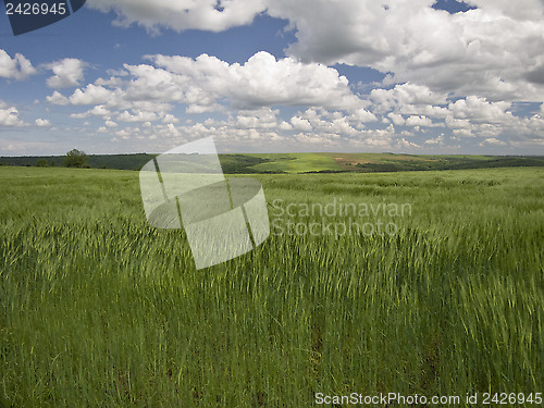 Image of Green, blue and windy