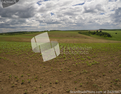 Image of Green, blue and brown