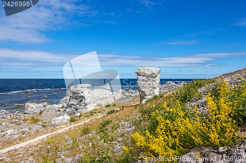 Image of Nordic nature of Gotland, Sweden