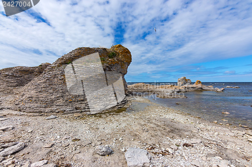 Image of Limestone cliff on the rocky coast of Gotland, Sweden