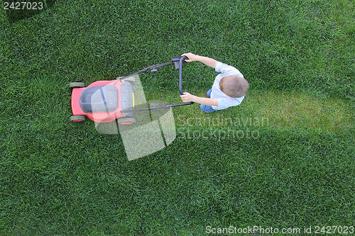 Image of Little boy cuts a grass using lawn-mower