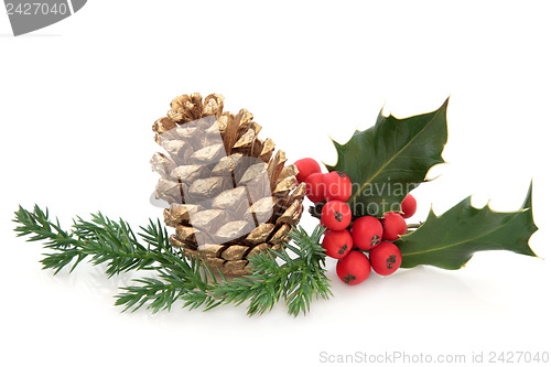 Image of Holly and Pine Cone Decoration